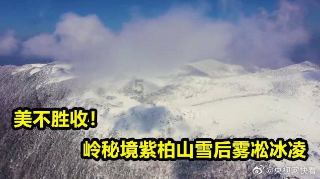 孙海洋带货大秀科目三!找到孙卓后,他彻底放飞了!