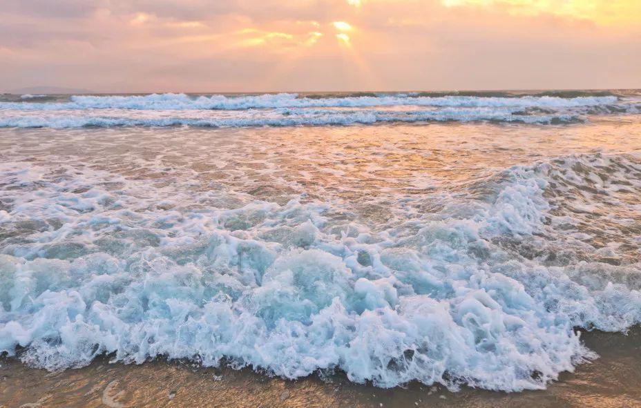 深海鱼救援