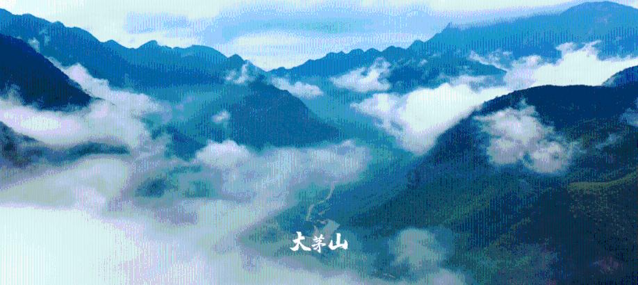 高空畅游的女孩