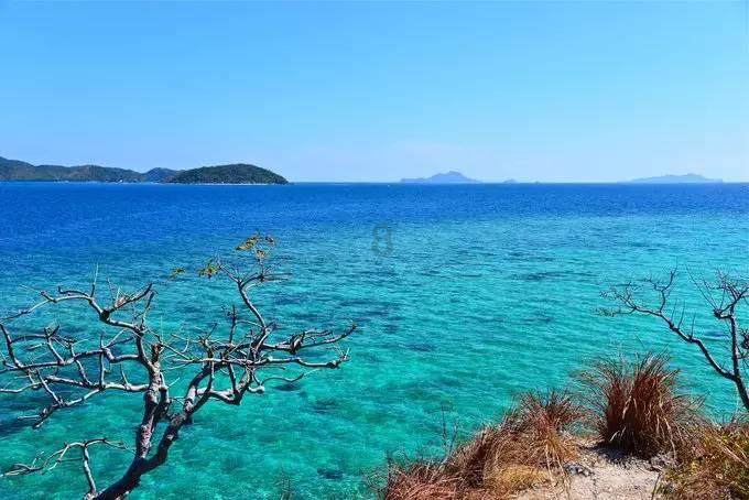 淅川县政府副县长严富强到县中医院督查安全生产和消防工作