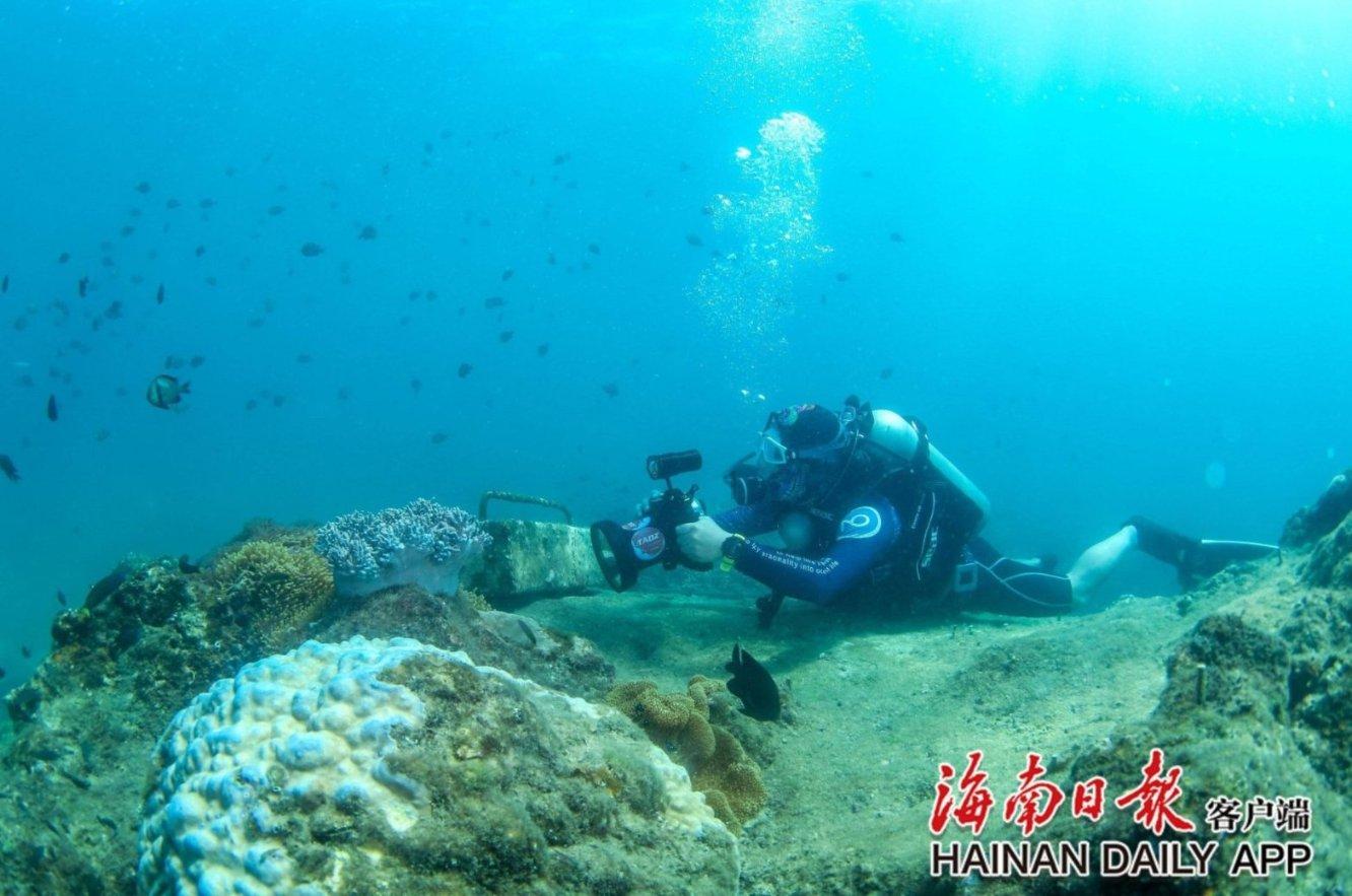 历经四次 OTA 后，魏牌蓝山进化到哪一步了？
