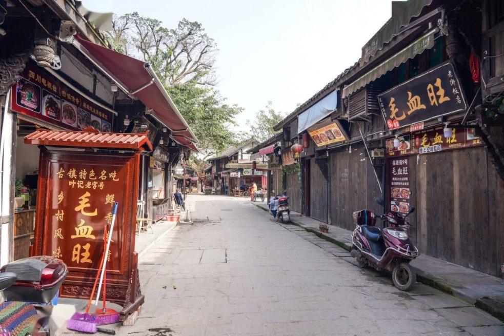 一场持续1780天的实验：8只老鼠，真的预知了人类的未来？